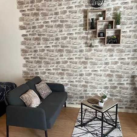 Cosy - 50m Du Loing - Hyper-centre Apartment *