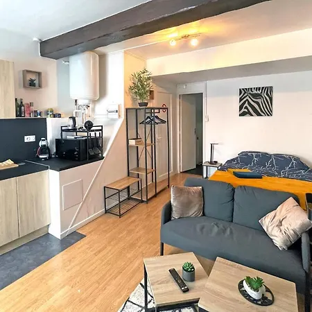 Cosy - 50m Du Loing - Hyper-centre *